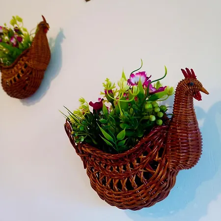 Ethno Art Maisonette In The Center Of - Free Vouchers & Gift